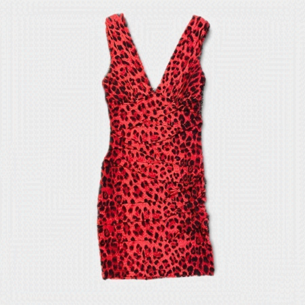 𝅺red Leopard Cocktail Dress